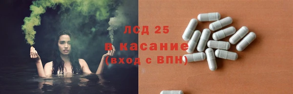 spice Пересвет