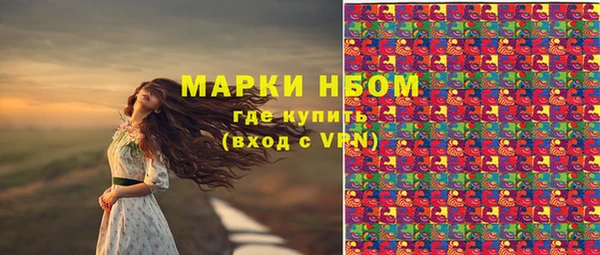 spice Пересвет