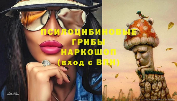 тгк Переславль-Залесский