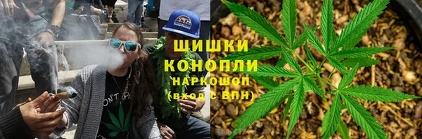 spice Пересвет