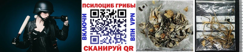 Псилоцибиновые грибы прущие грибы  что такое   Ногинск 